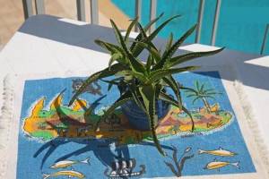 Aptera Paradise13